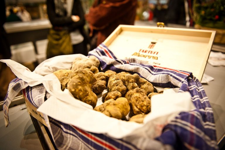 Fiera Internazionale del Tartufo
