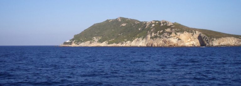 Isola di Zannone: tra trekking e spiagge