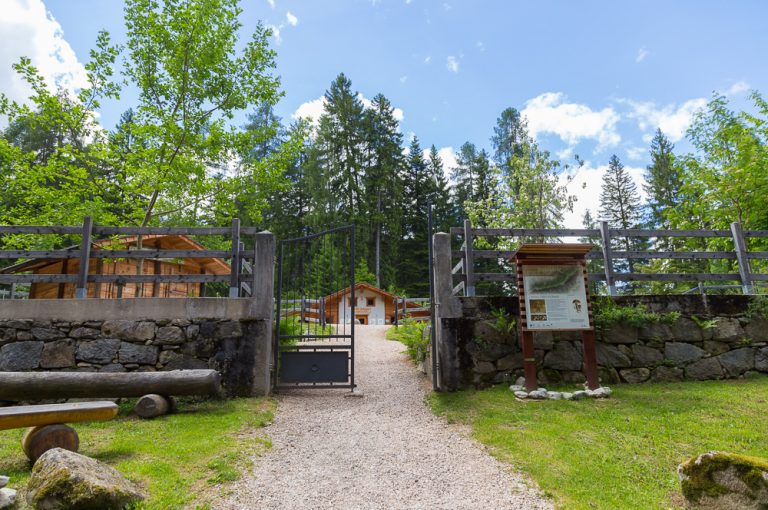 Due mete per i bimbi in Val di Sole