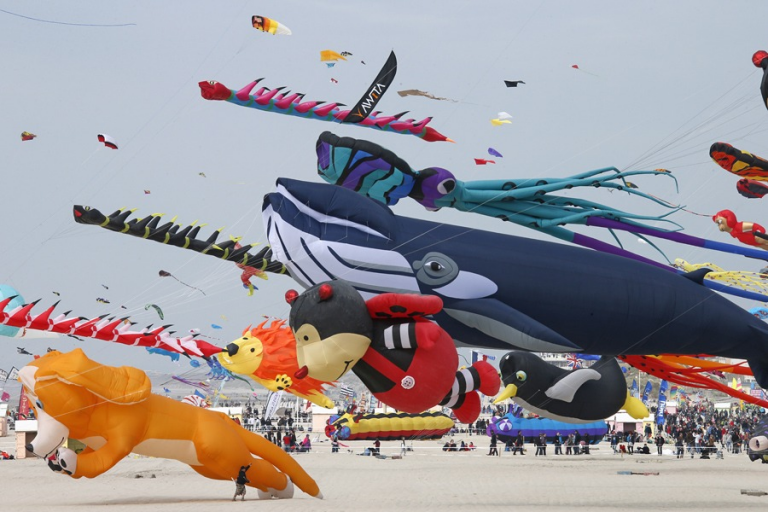 La passione per gli Aquiloni