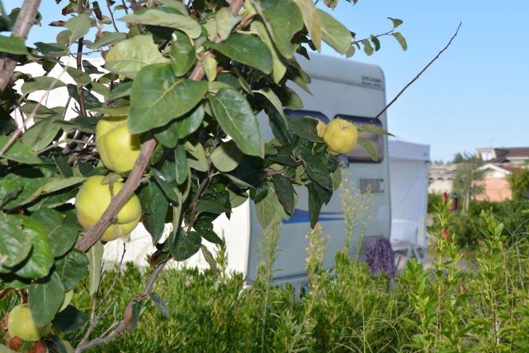 agricampeggio alessandra