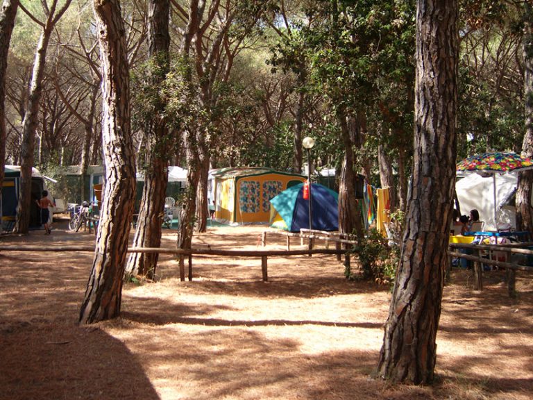 Camping Campo Regio: la Toscana tutto l’anno