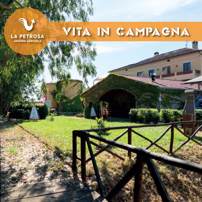 Quattro modi per dormire a La Petrosa in Cilento.