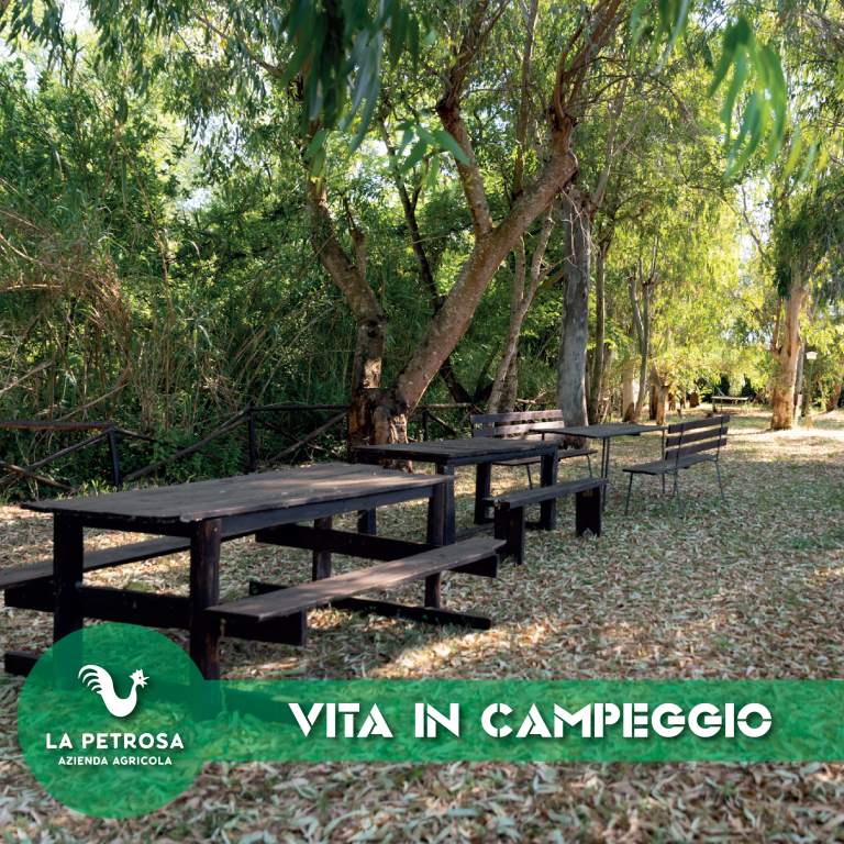 Mangiare in fattoria con la Caravan