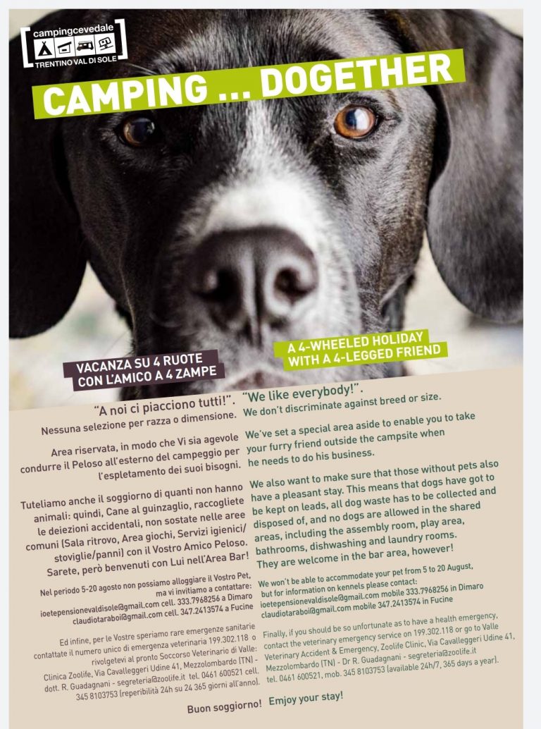 Camping Cevedale: 5 punti per vivere la vacanza con gli amici a quattro zampe