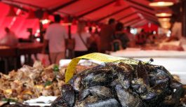 Chioggia: la regina del pesce