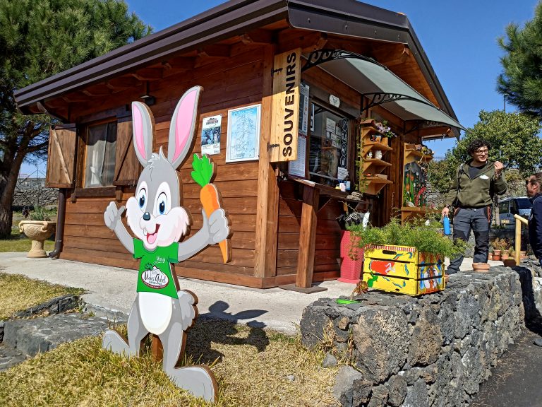 Mons Gibel Camping, davanti all’Etna