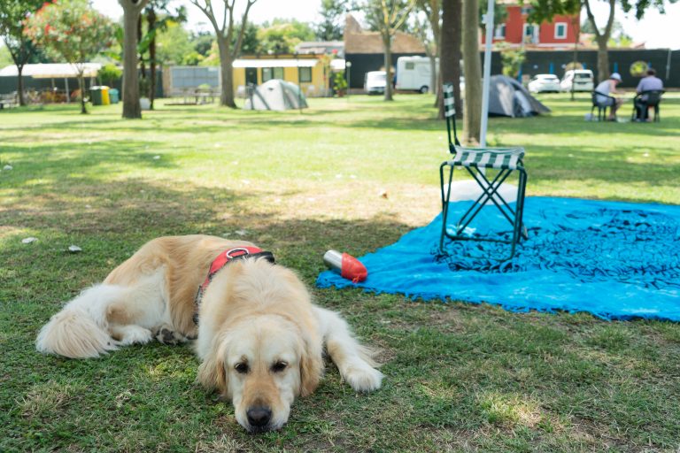 Camping Lido di Venezia: dormire su un’isola a Venezia
