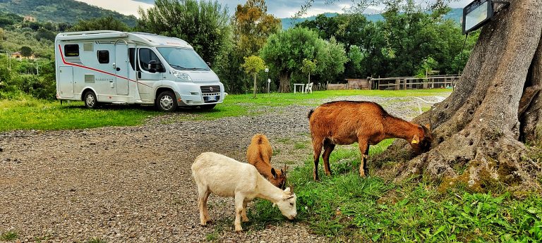 Agriturismo Conca d’Oro: relax cilentano
