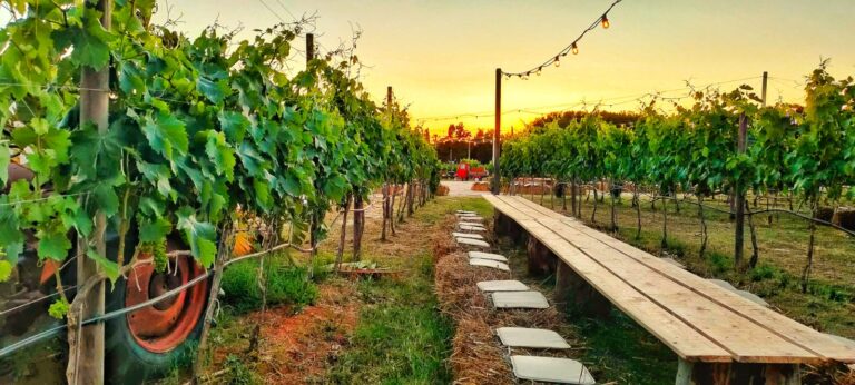 Cinque ristoranti migliori in campeggio