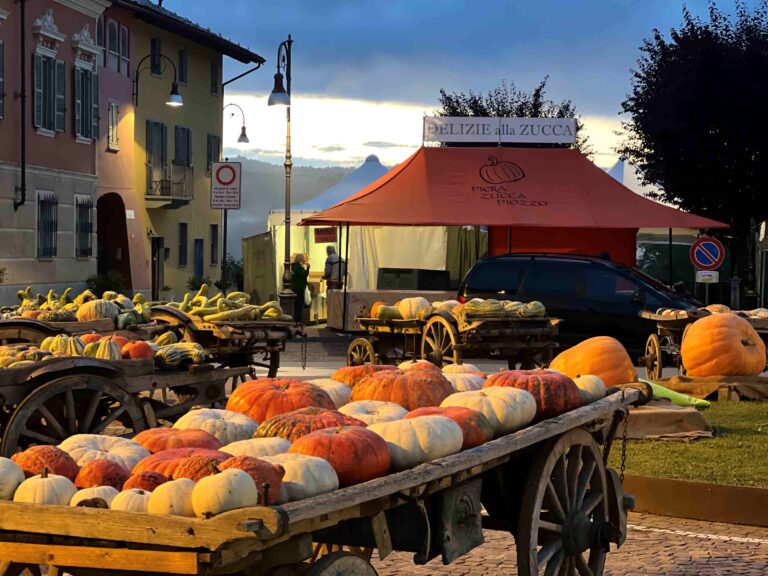 Un successo la 31^ Fiera Regionale della Zucca.  Piozzo (CN)