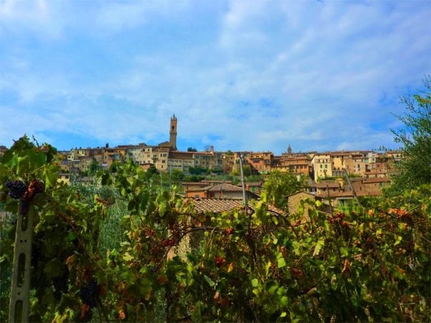 Weekend a Montalcino in camper