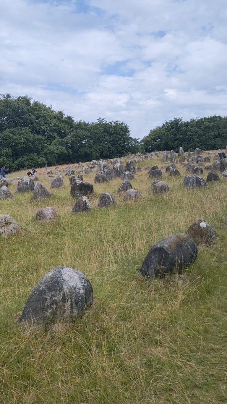 Danimarca: Museo e Necropoli Vichingo