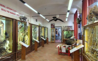 5 modi per rispettare la Natura