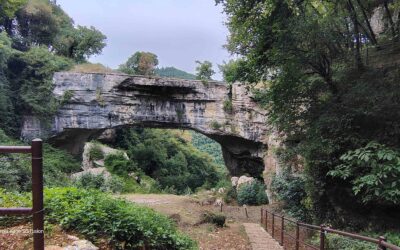 Lasagne al tartufo in una taverna nella roccia e un canyon medievale: la sosta camper definitiva in Veneto 🤫