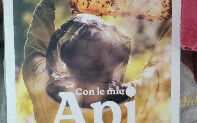 Le API, salveranno il mondo