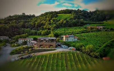 In Camper tra i Filari: 20 Cantine da Nord a Sud (Isole Comprese) per un Autunno all’Insegna del Buon Vino