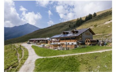 In camper in Val di Sole: alla scoperta della Via delle Malghe tra formaggi d’alpeggio e natura incontaminata