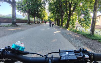 Garda in Camper e Bicicletta: Sulla Strada dei Vini e dei Sapori tra Vigneti e Crinali Panoramici